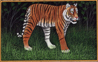 Tiger Painting