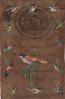 Indian Bird Miniature Painting Handmade Nature Ornithology Old Stamp Paper Art