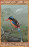 Paradise Kingfisher Bird Painting Handmade Wild Feathered Indian Miniature Art