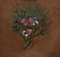Indian Robin Bird Painting Handmade Miniature Nature Stamp Paper Watercolor Art