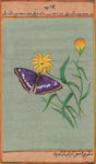 Butterfly Painting
