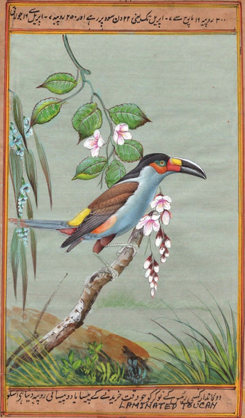 Indian Miniature Painting Rare Handmade South American Laminated Toucan Bird Art