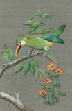 Emerald Toucanet Bird Painting Handmade Indian Wild Life Miniature Nature Art