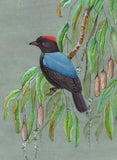 Blue Backed Manakin Bird Painting Handmade Indian Miniature Nature Decor Art