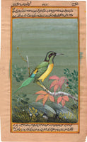 Indian Miniature Painting Handmade Green Tailed Sunbird Watercolor Wild Life Art
