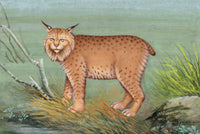 Wild Animal Painting