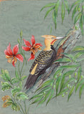 Blond Crested Woodpecker Bird Painting Handmade India Miniature Nature Decor Art