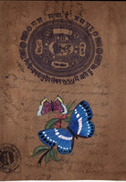 Mughal Butterfly Floral Miniature Painting Handmade Moghul Old Stamp Paper Art