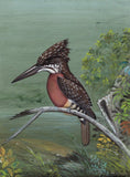 Giant Kingfisher Bird Painting Handmade Ornithology Nature Indian Miniature Art