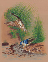 Sparrow Bird Painting