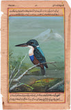 Great Blue Kingfisher Art