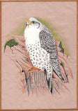 Art of Falcon