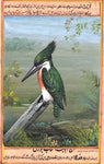 Bird Painting