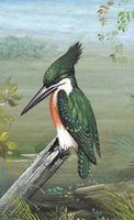 Kingfisher Art