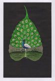 Peacock Bird Painting