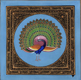 Peacock Bird Art