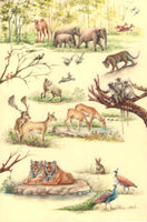 Indian Wildlife Artwork