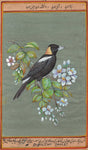 Bird Art