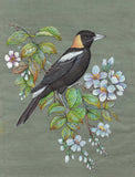 Bobolink Bird Painting