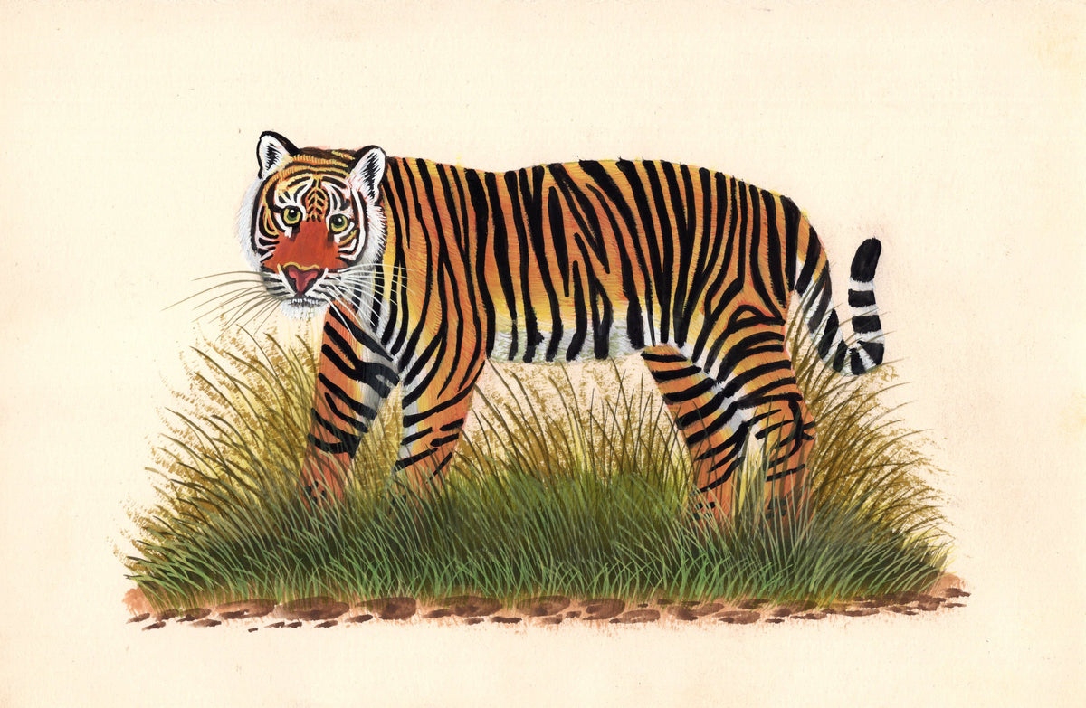 Indian Royal Bengal Tiger Painting Handmade Wild Animal Nature Miniatu ...
