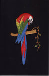 Macaw Parrot Bird Art