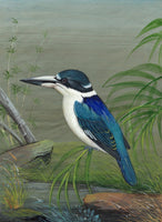 Indian Miniature Forest Kingfisher Bird Painting Rare Handmade Ethnic Nature Art