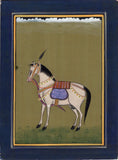 Marwari Horse Art