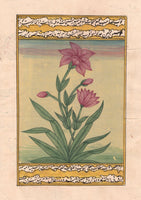 Mughal Floral Art