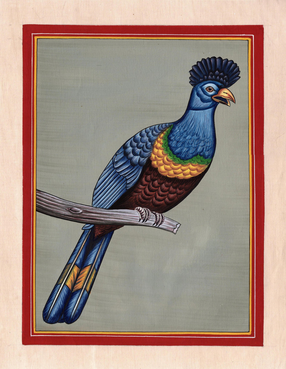 Great Blue Turaco Miniature Art Handmade Indian Nature Bird Watercolor ...