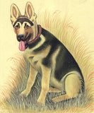 German Shepard Dog Miniature Painting Handmade Alsatian Indian Animal Decor Art