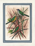 Indian Nature Bird Art