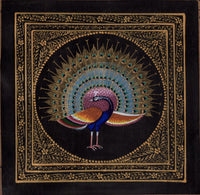 Peacock Bird Painting