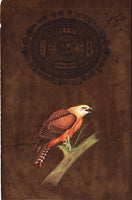 Eagle Bird Miniature Painting Handmade Stamp Paper Indian Watercolor Artwork