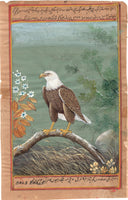 Bald Eagle Painting