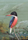 Black Headed Kingfisher bird artwork