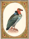 Vulture Bird Painting