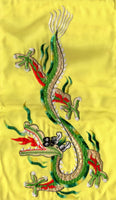 Indian Dragon Artwork